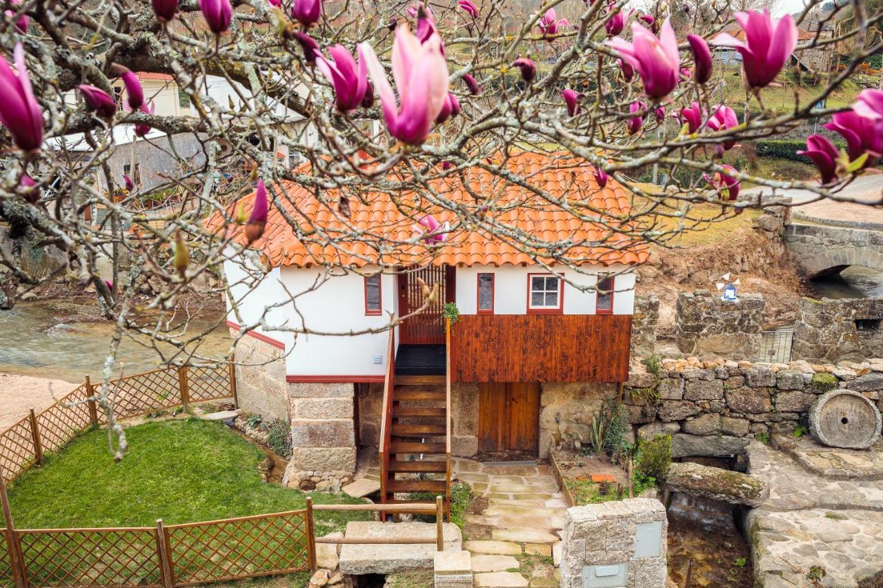 Refugio House Natura Moinho De Agua - Eco House Γκιμαράες Εξωτερικό φωτογραφία